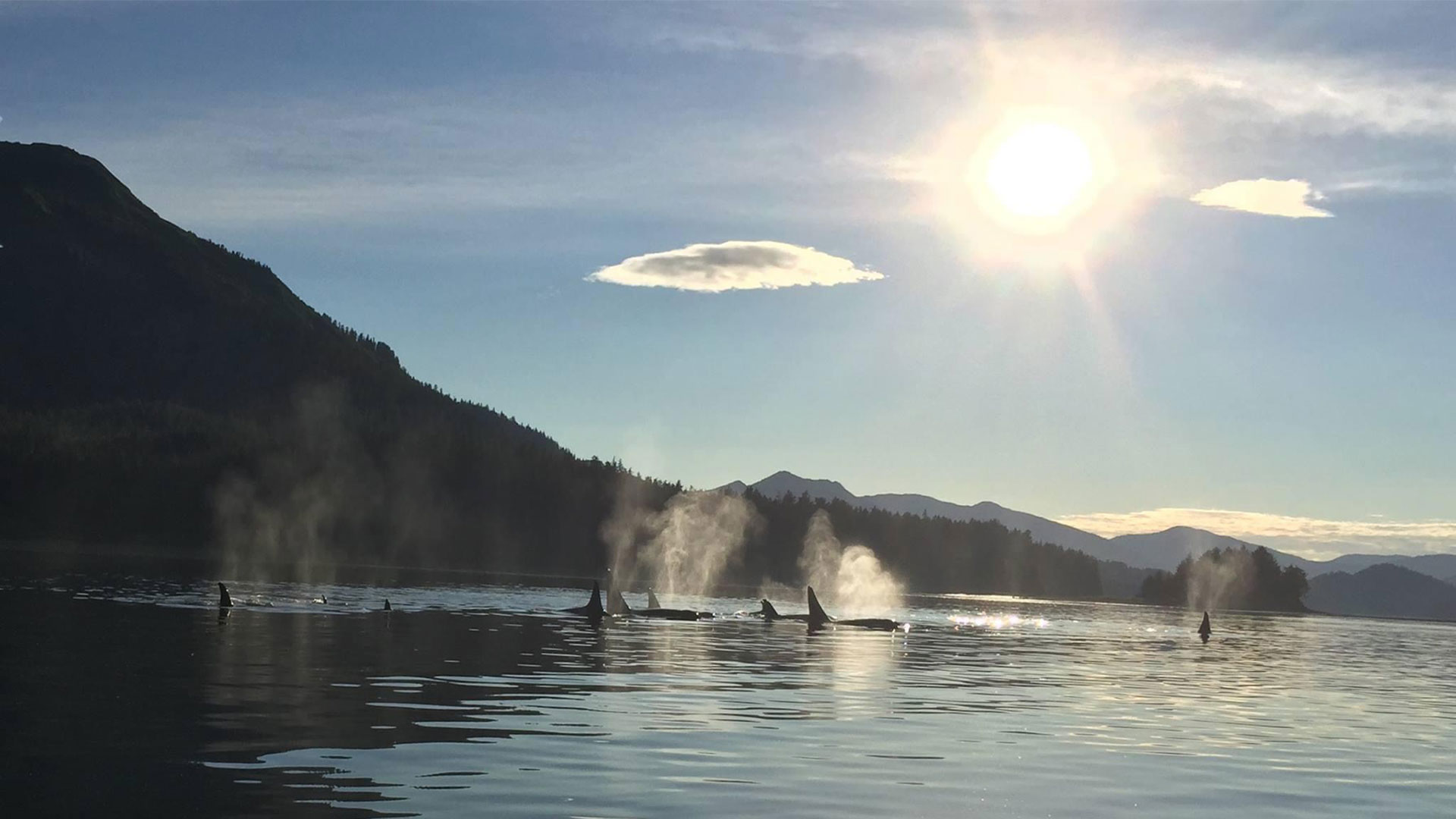 Small group whale watching tours in Hoonah, Alaska.
