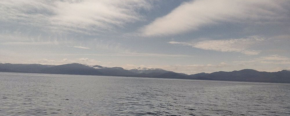 Frequently asked questions concerning our whale watching tours in Hoonah Alaska.